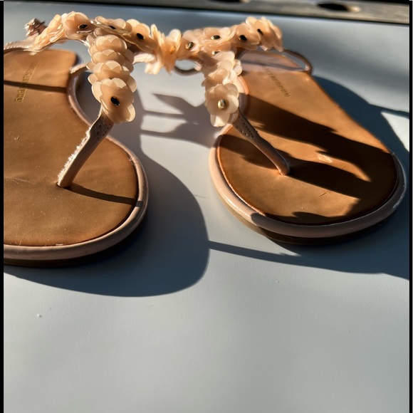 Chinese Laundry Garden 8.5 M Blush/Soft Pink Floral Open Gold-Stud Thong Sandals - Picture 7 of 8